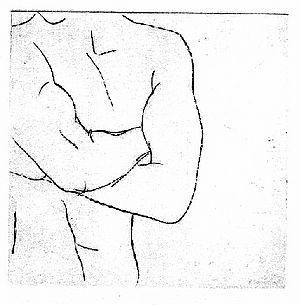 "Männlicher Akt, Torso Brust" (270) 