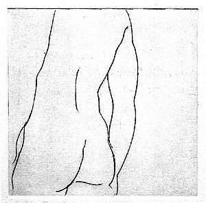 "Männlicher Akt, Torso Rücken" (271) 