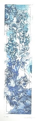 "Großer Rittersporn" (252) 