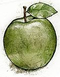 "Grüner Apfel" (333) 